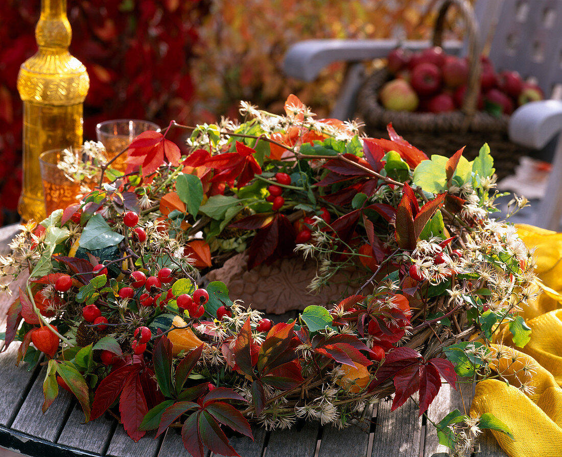 Parthenocissus (Wilder Wein), Rosa (Hagebutten), Clematis (Waldrebe), Cucurbita