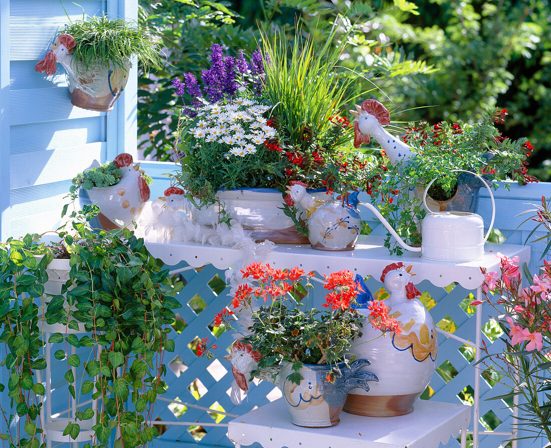 Ceramic chicken as pots