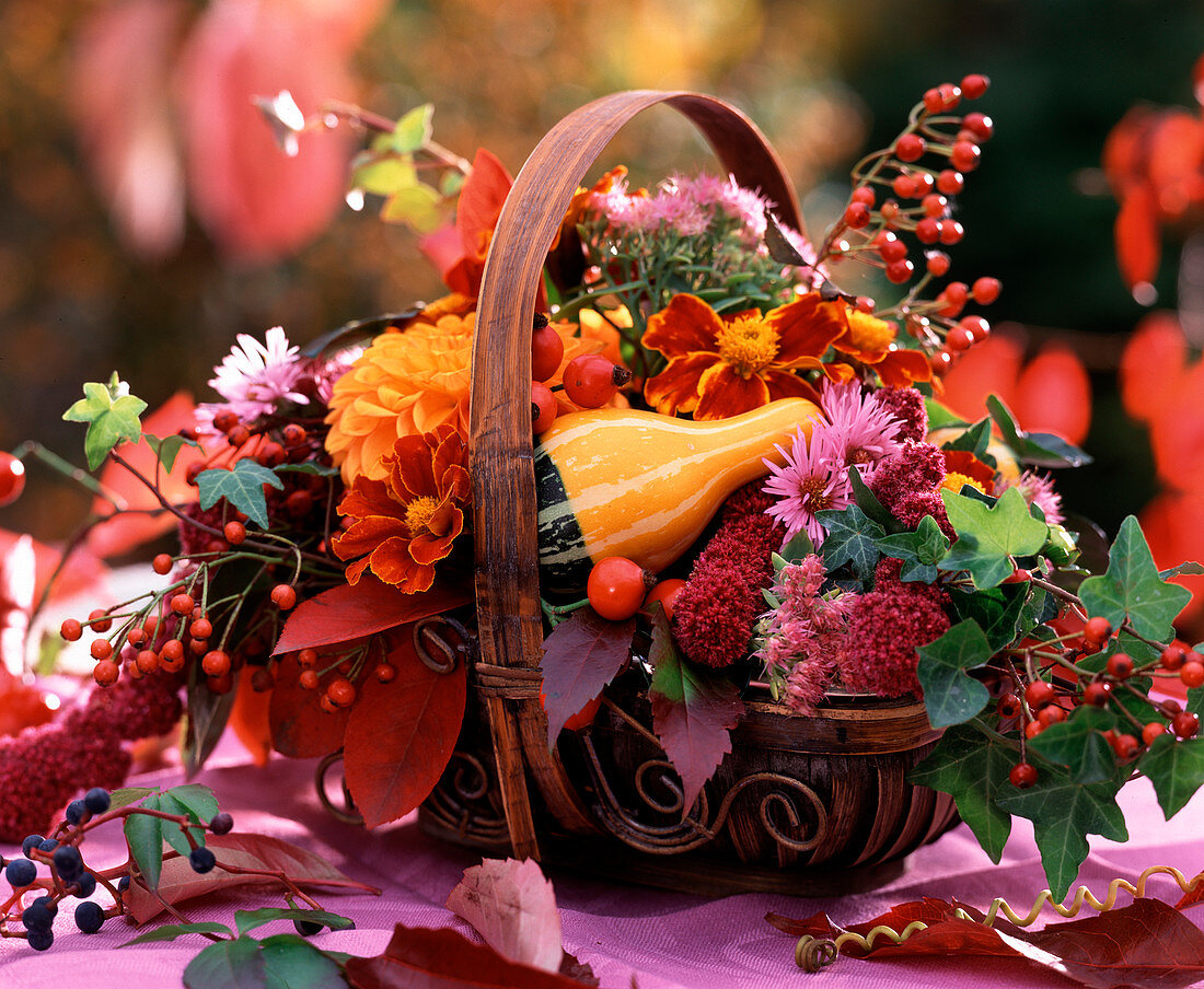 Basket with arrangement of Cucurbita (pumpkin), Tagetes (marigolds), Rosa (rose hips)