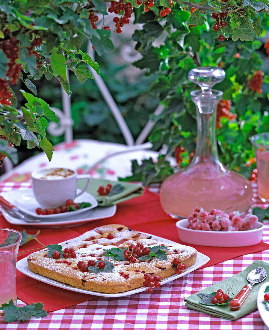 Ribes (red currants)