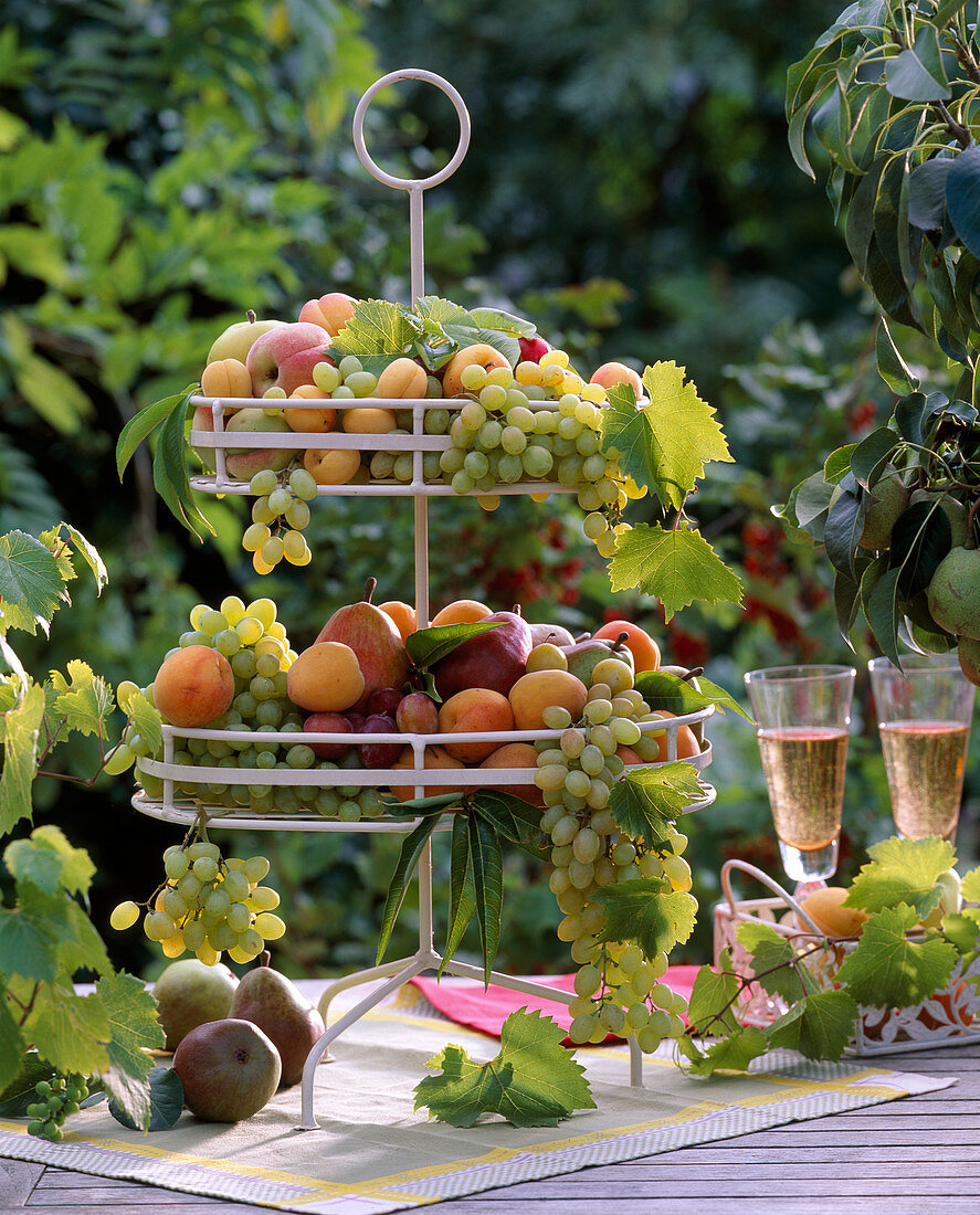 Etagere with Vitis (grapes), Pyrus (pears), Prunus (peaches), apricots