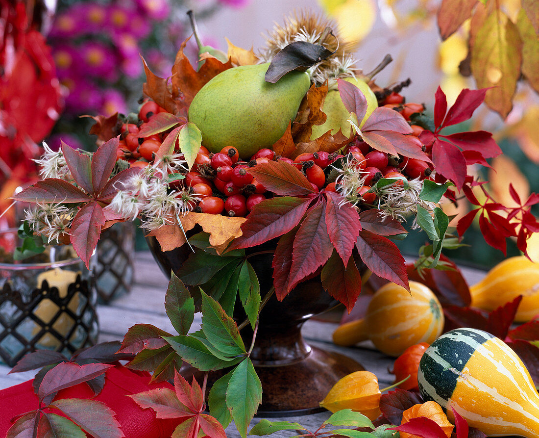 Brown bowl with wild vine (Parthenocissus), rosehips (Rosa), clematis