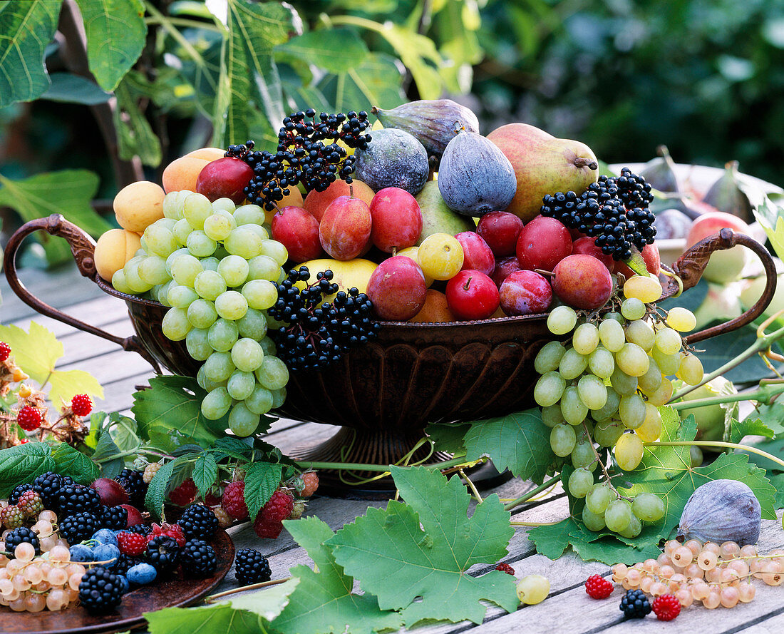 Metal bowl with vitis (grapes), ficus (figs), prunus (apricots), plums