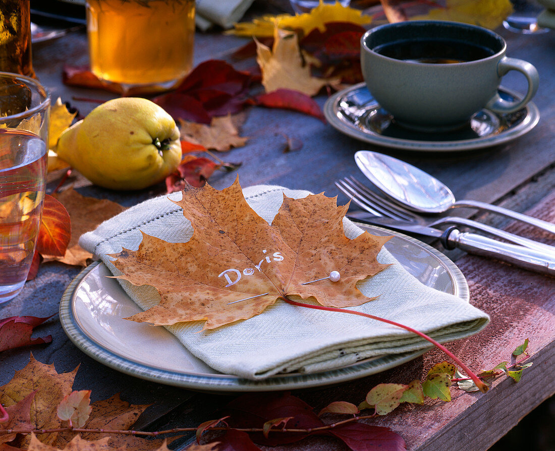 Acer (maple leaf) as napkin decoration and place card, Cydonia (quince), autumn flowers