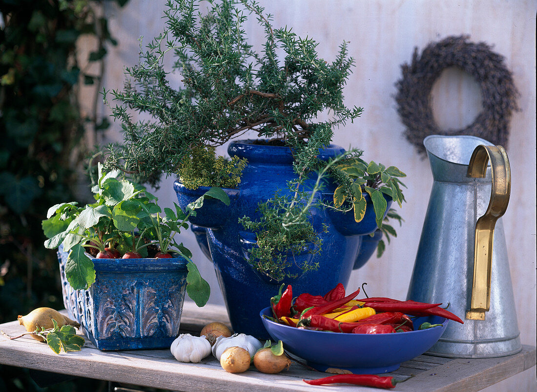 Rosmarinus (rosemary), Thymus (thyme)