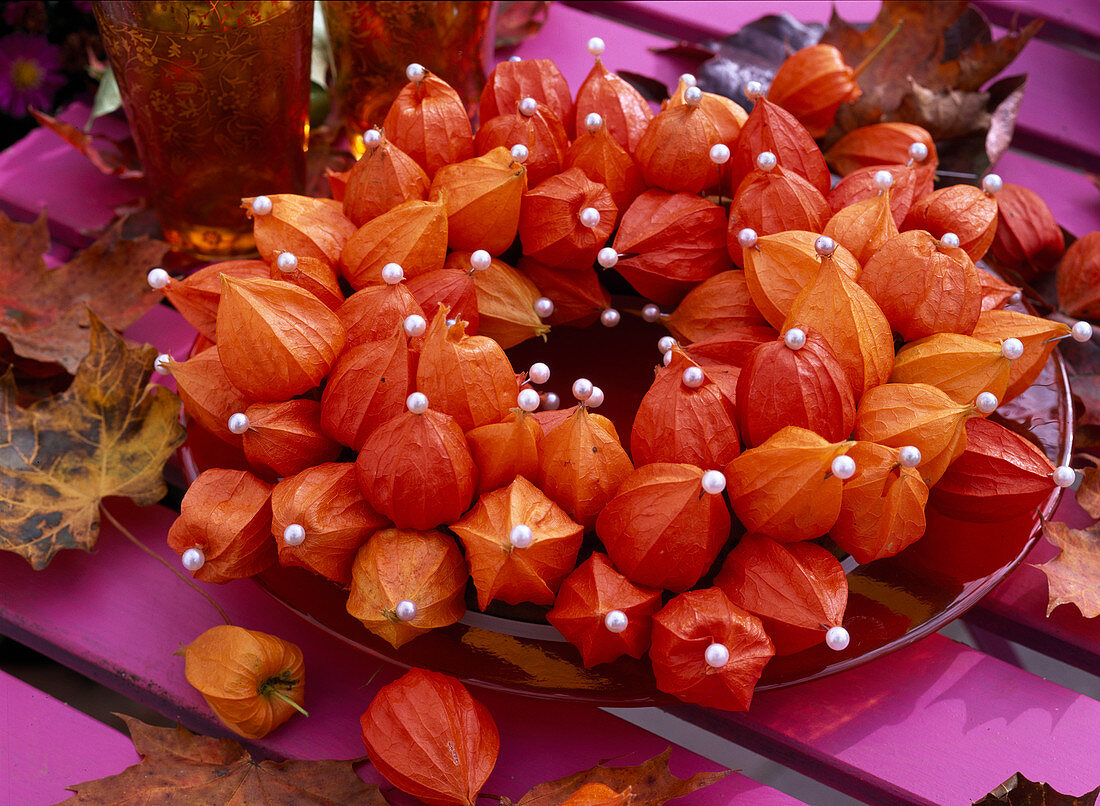 Plate wreath: Chinese lanterns with decorative needles stuck on blank oasis