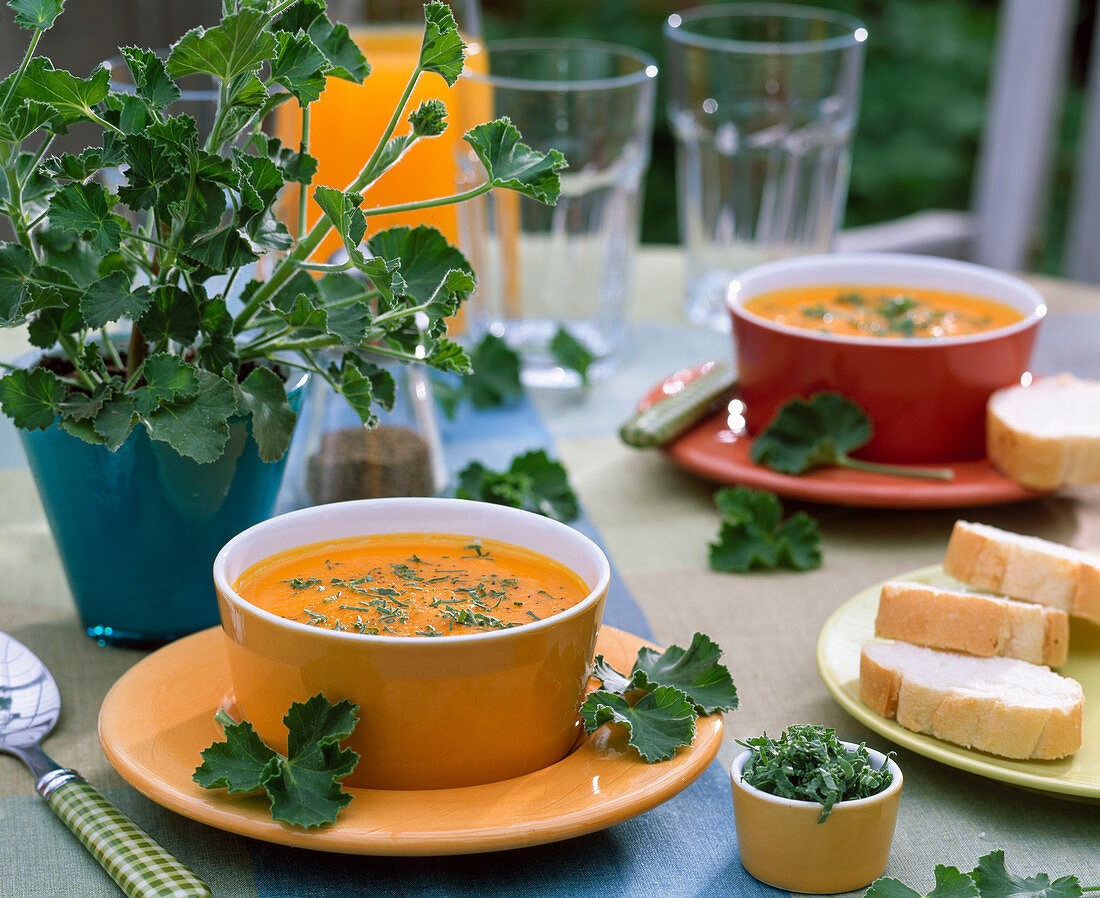 Cream of carrot soup with Pelargonium 'Torento' (ginger geranium)