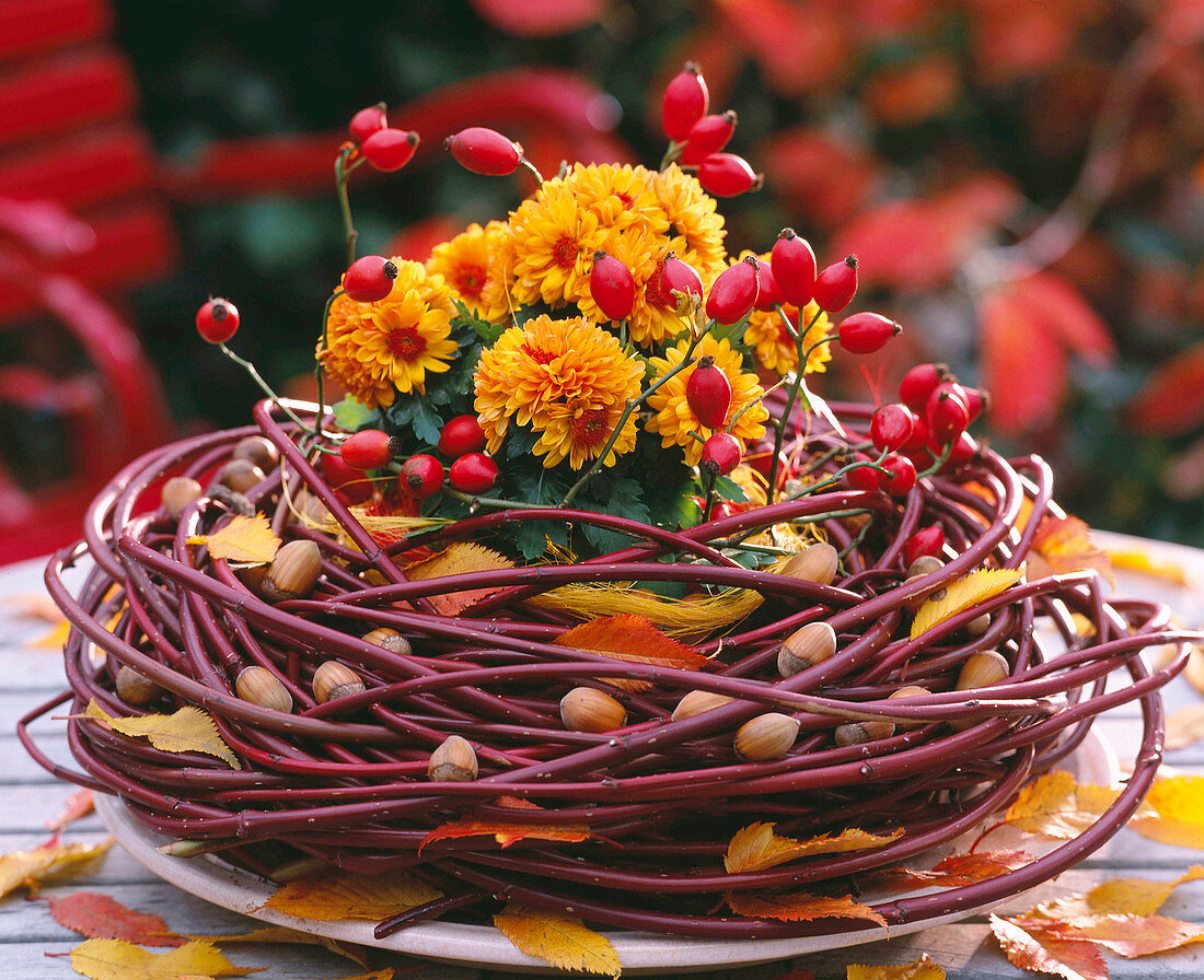 Kranz aus Cornus / Hartriegelzweigen, Chrysanthemum, Rosa / Hagebutten, Corylus