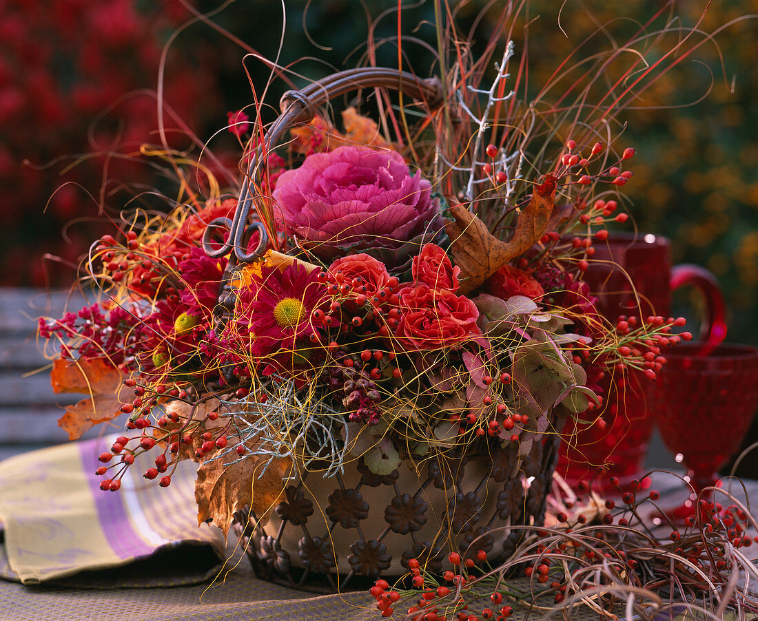 Metallkorb mit rosa (Rosen und Hagebutten), Chrysanthemum, Brassica (Zierkohl)