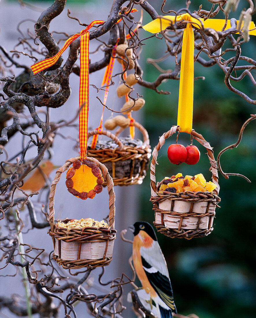 Homemade bird food: baskets filled with seeds and dried fruit