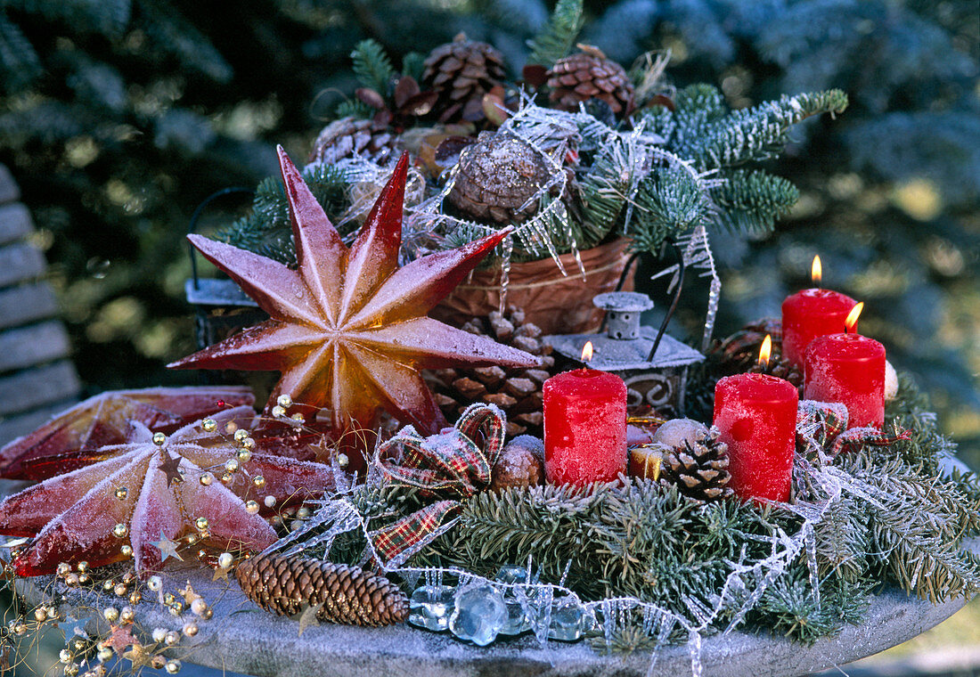 Halbrunder Adventskranz mit roten Kerzen, Abies / Nobilistanne, Pinus und Picea
