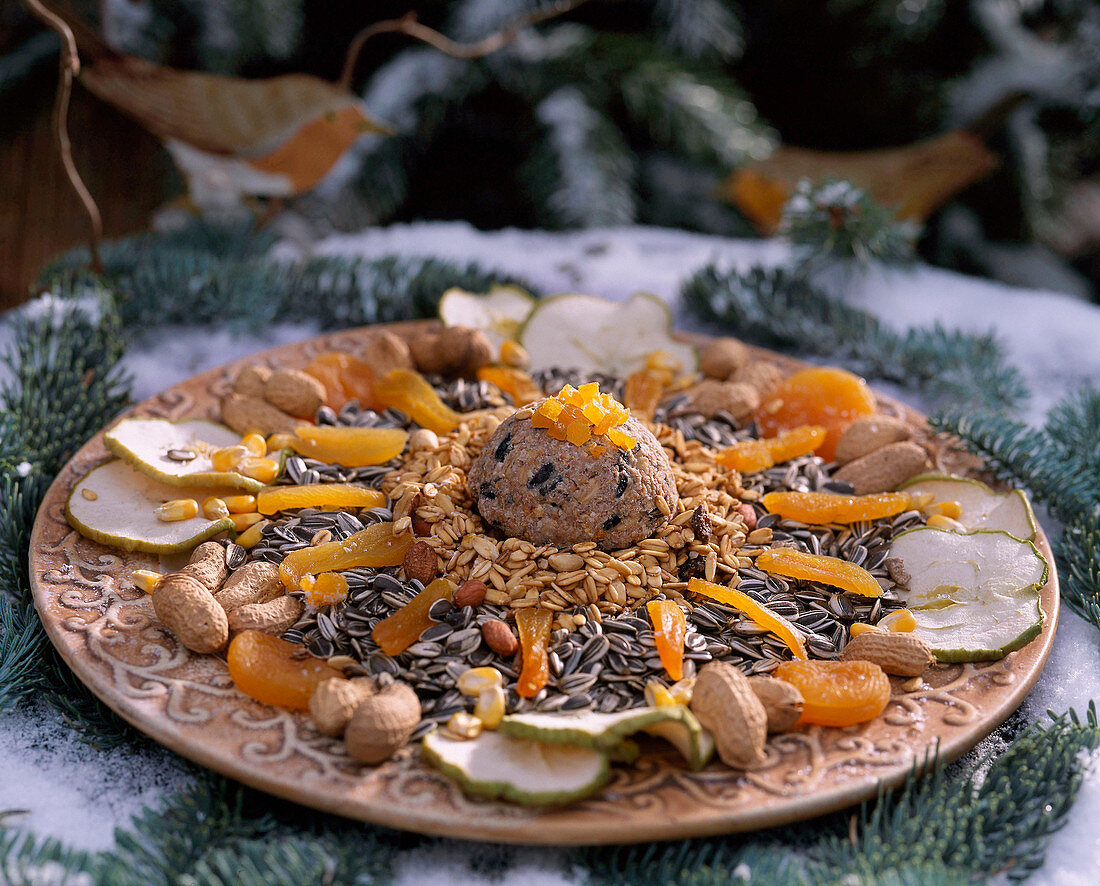 Bird menu: Dried apricots, peanuts, Malus (apple rings), titmouse dumplings