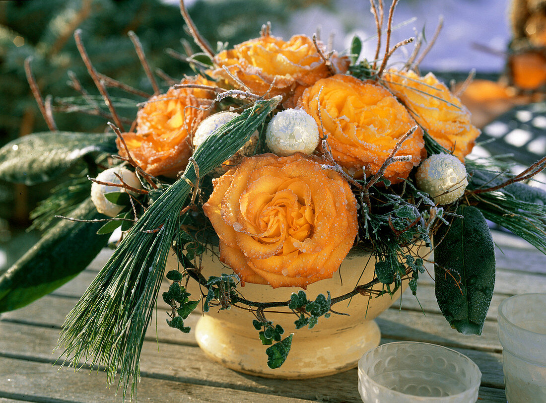 Pot with orange rose blossoms, Pinus (pine branches), Hedera (ivy)