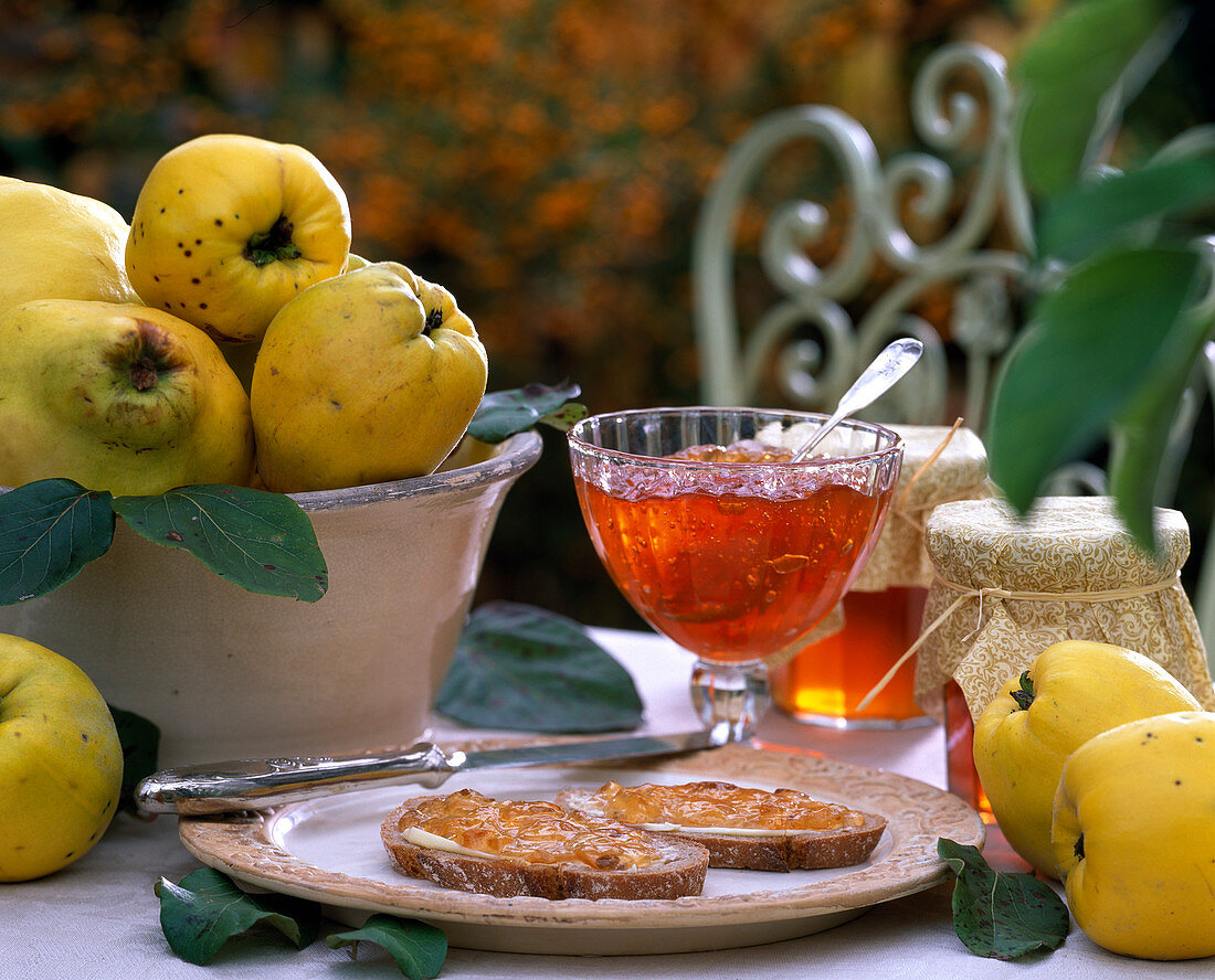 Cydonia (pear and apple quince), quince jelly