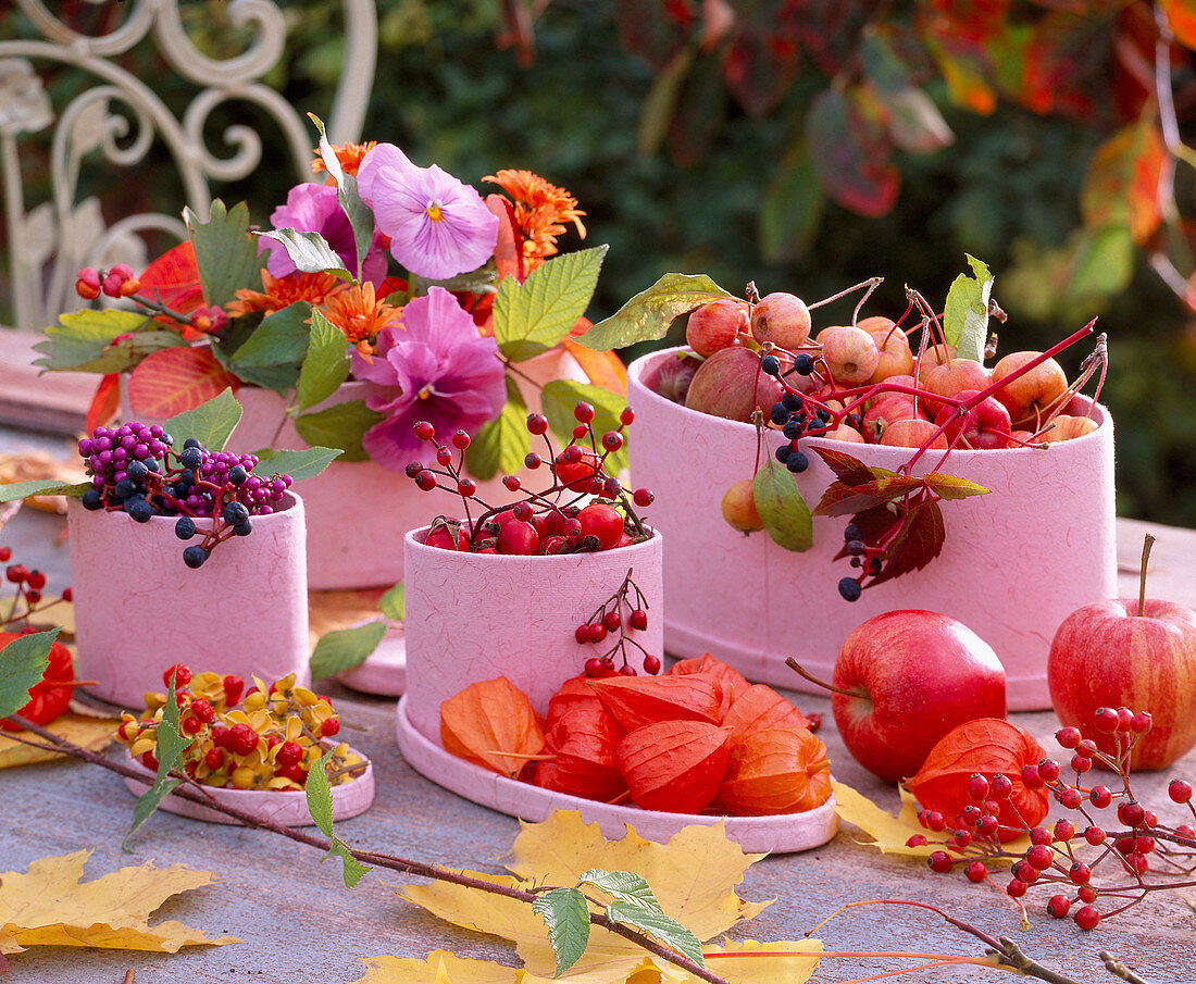 Pink cardboard boxes with Malus (apples), ornamental apples, Rosa (rose hips), Physalis (lampion flower)