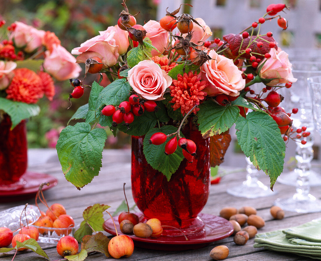 Rosa (roses and rosehips), Chrysanthemum, Rubus (raspberry), Malus (ornamental apple)