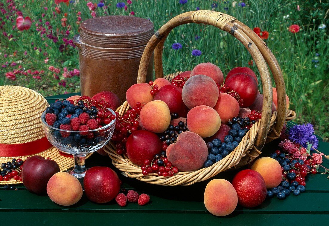 Frisch gepflueckte Pfirsiche, Nektarinen (Prunus persica), Johannisbeeren (Ribes), Himbeeren (Rubus) und Heidelbeeren (Vaccinium) als Ernte-Stil