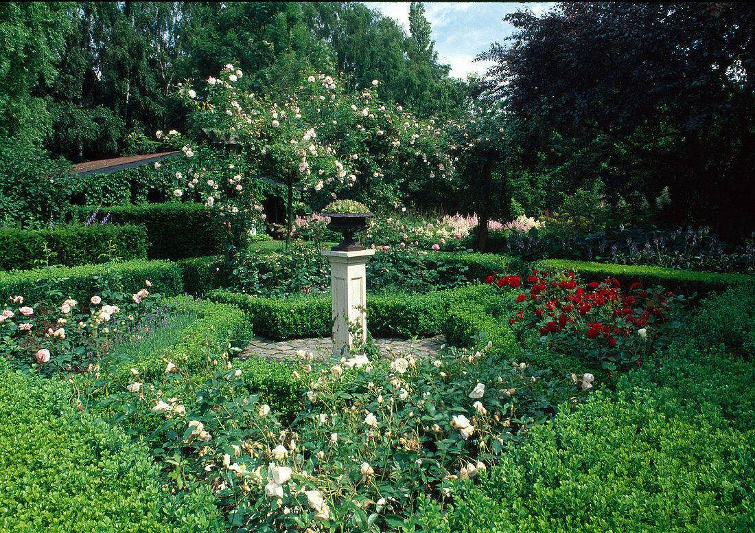 Rosengarten mit Rosa (Rosen), Buxus (Buchs), Hecken als Beet-Einfassungen, Pflanzschale auf Säule im Zentrum