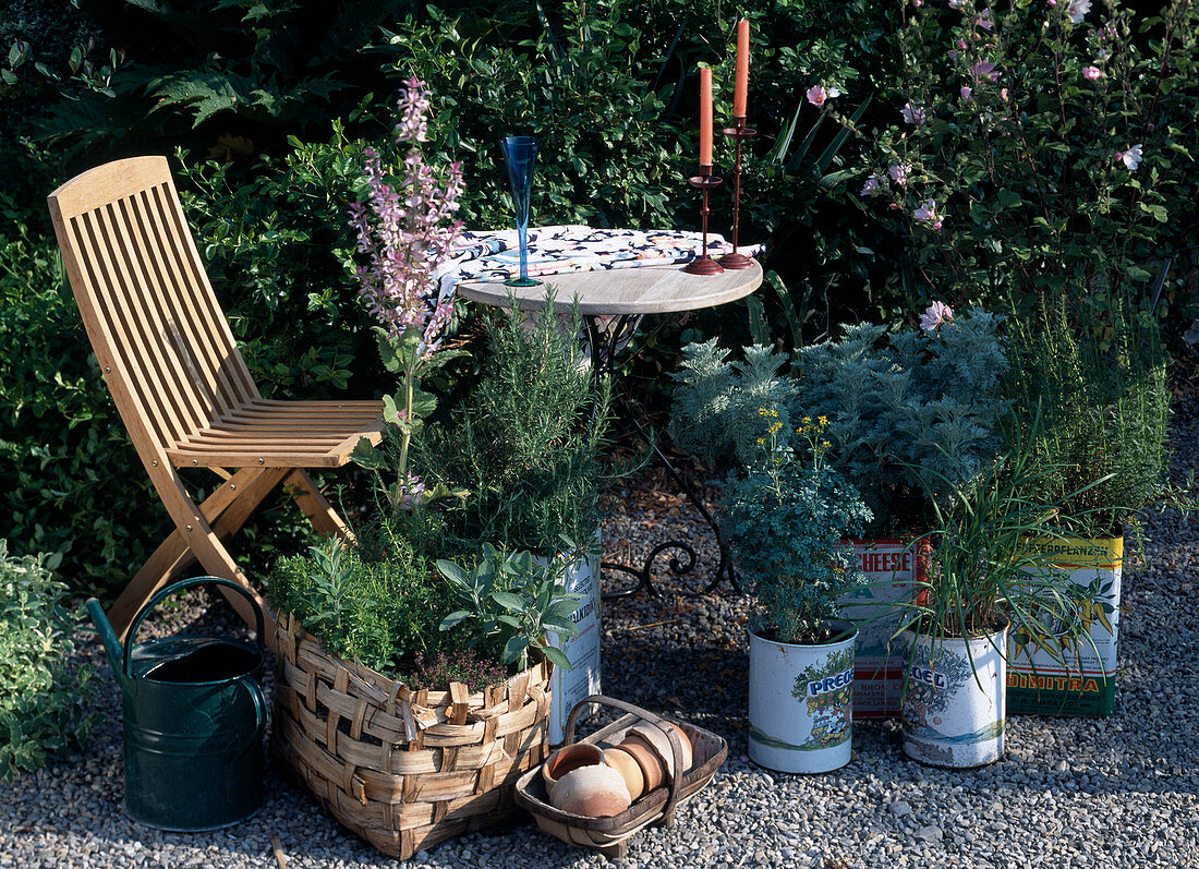 Herbs in tin cans, Salvia sclarea, Rosmarinus