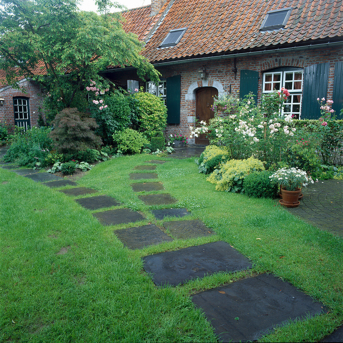 Stone slabs in the lawn as garden paths, small beds with Rosa (roses), Alchemilla (lady's mantle) and woody plants