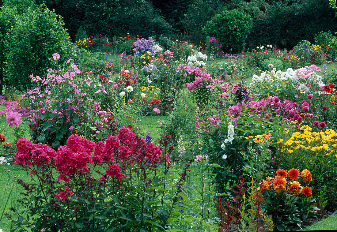 Colourful beds with perennials and summer flowers