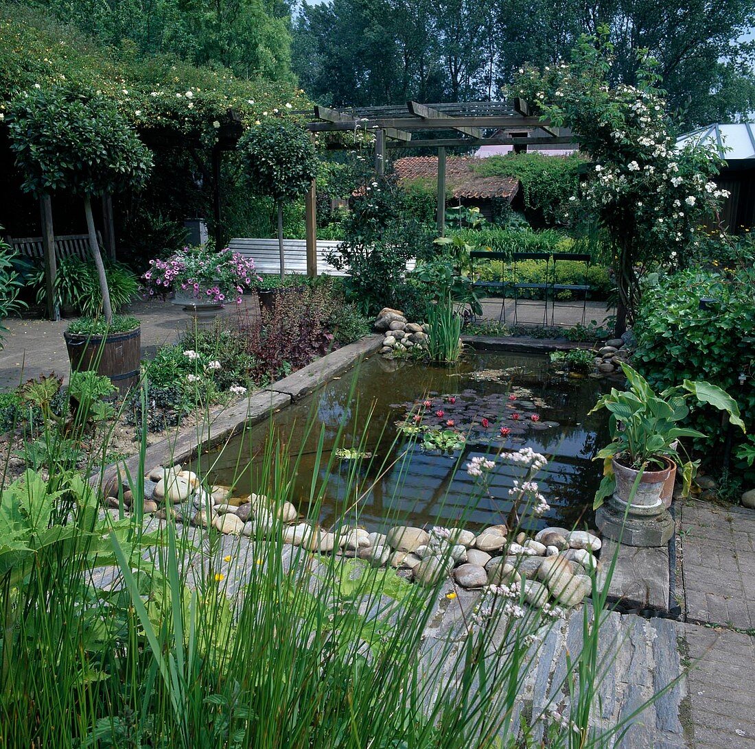 Rectangular pond with Nymphaea (water lily), small perennial bed with Heuchera (purple bellflower), Rosa (climbing roses, rambler roses) - on pergola, small stems in wooden tubs, flower spindle with Petunia (petunias)