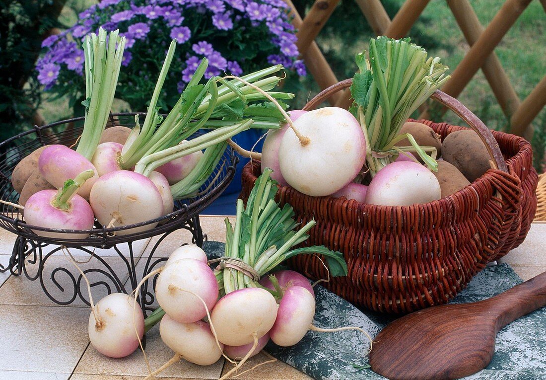 Turnips (Brassica rapa), potatoes in basket, wire basket, wooden spoon