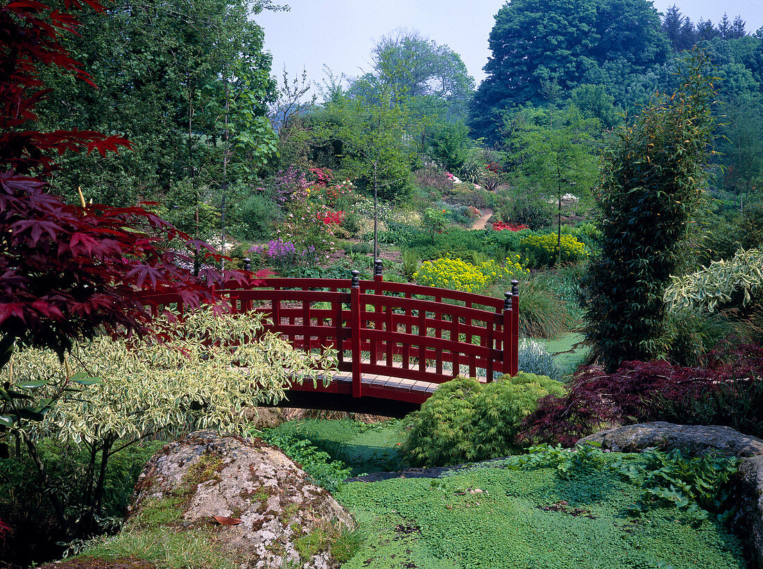 Red bridge in the Japanese garden