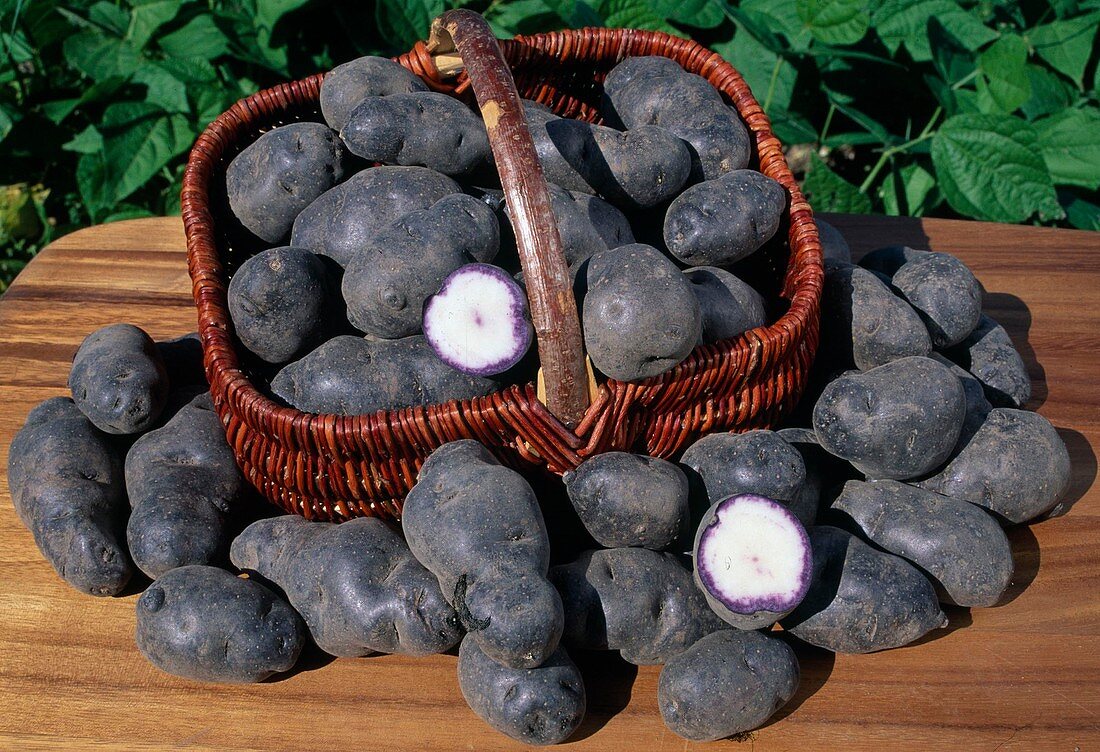 Schwarze Kartoffeln
