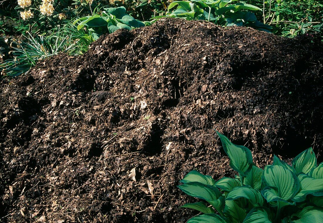 Well rotted compost