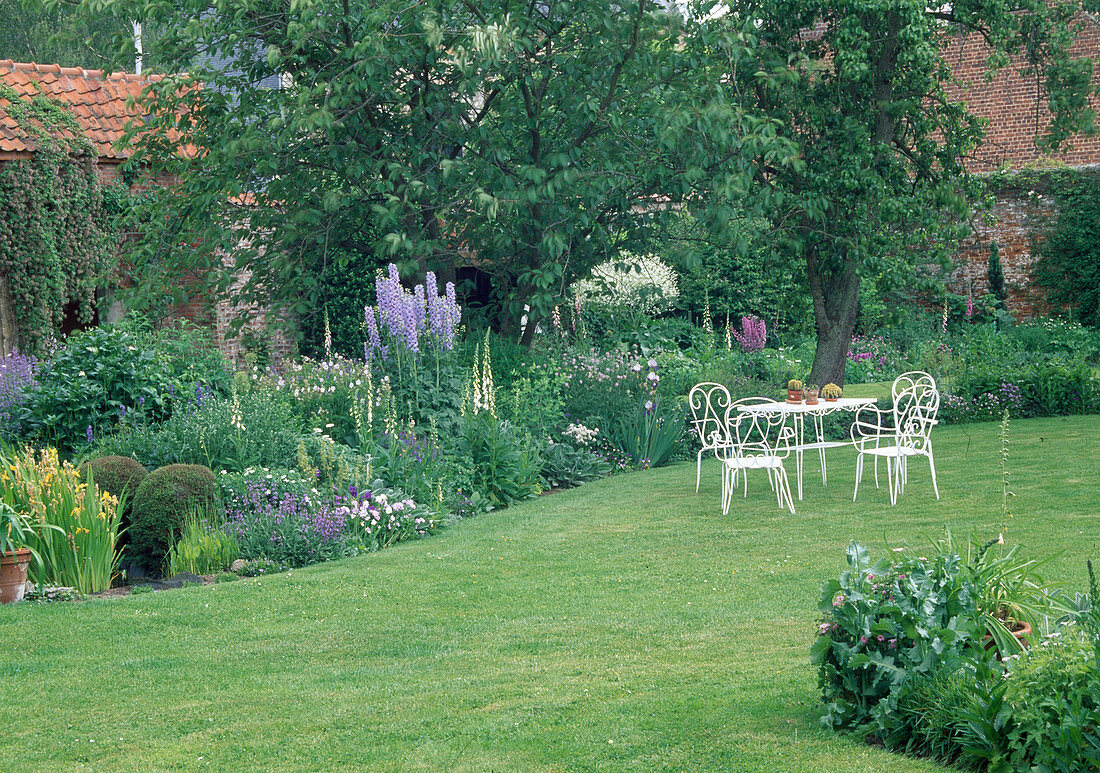 Early summer perennial bed with delphinium (delphinium), digitalis (foxglove), iris (irises), crambe (sea kale), white seating area on the lawn