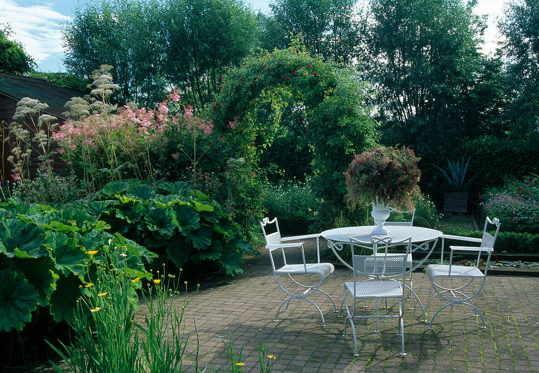 White seating area on terrace with concrete paving, rose arch with Rosa (climbing rose), Peltiphyllum peltatum syn Darmera peltata (shield leaf), Baldian (Valeriana) and Filipendula rubra 'Venusta' (pink spirea) as privacy screen