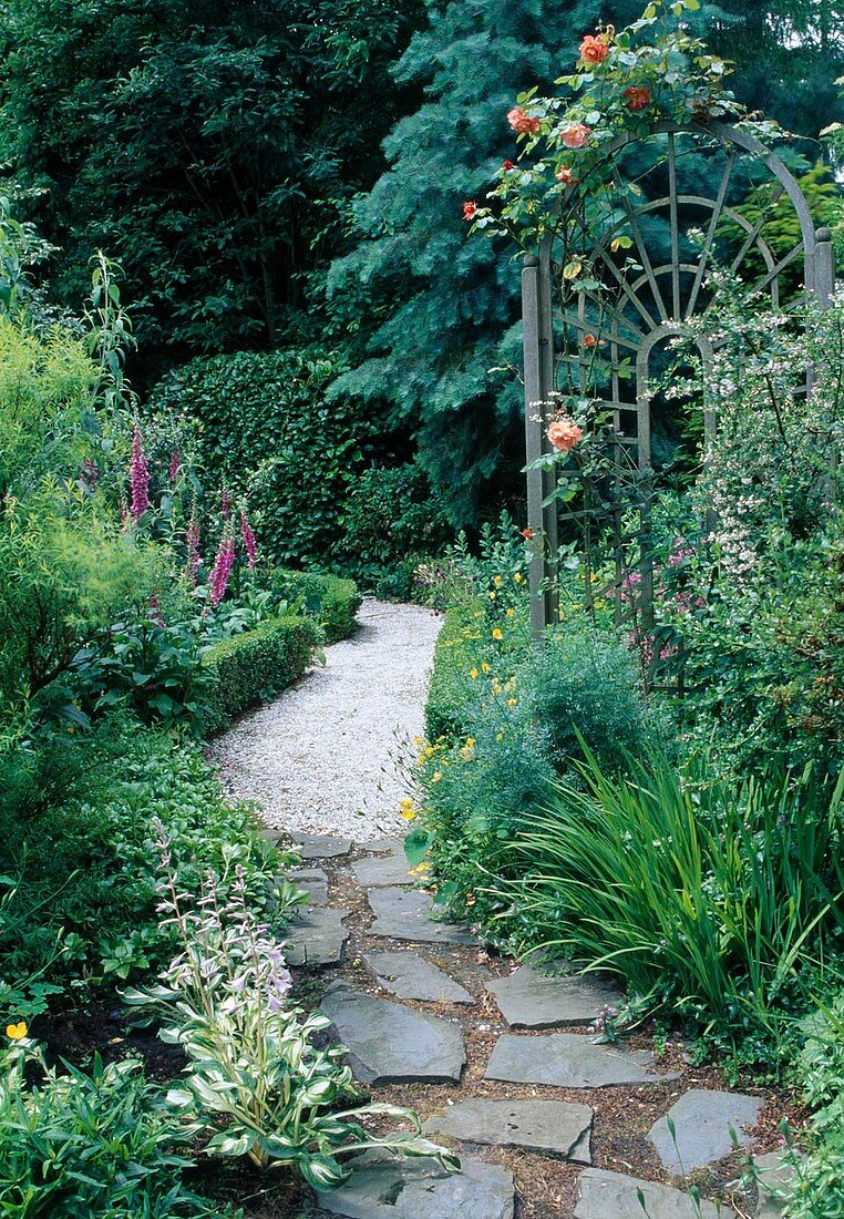 Path of natural stone and gravel between beds, Buxus (box) as bed edging, Digitalis purpurea (foxglove), Rosa (climbing rose) on round arch trellis