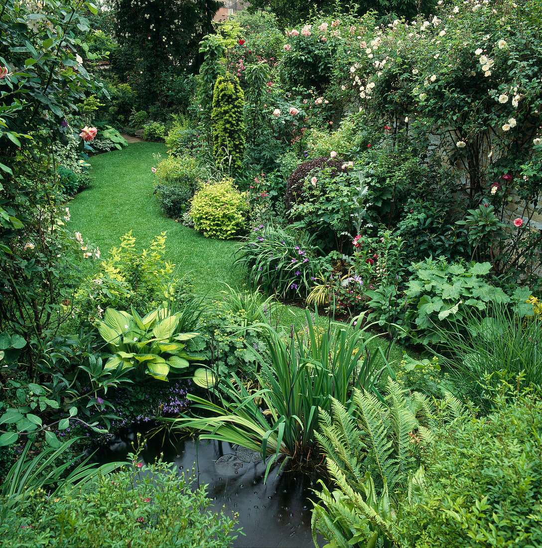 Schmaler Garten mit Rasen zwischen Beeten mit Stauden und Gehölzen