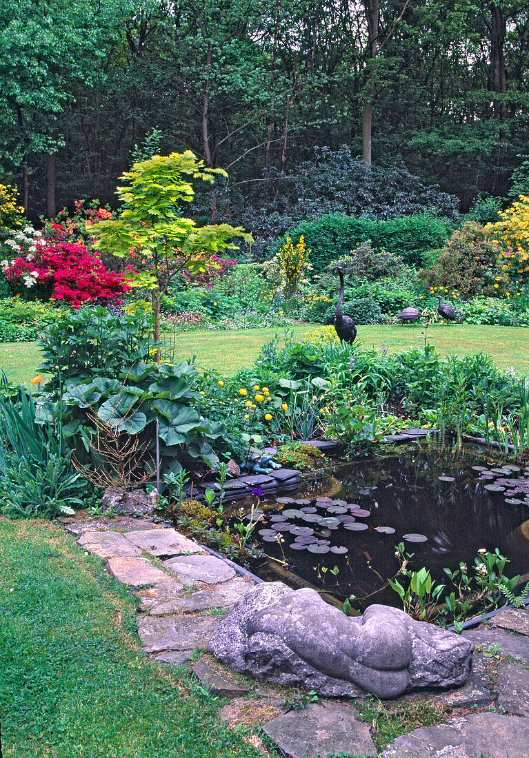 Pond basin with Nymphaea (water lilies) and marsh plants, shrub bed with Acer shirasawanum 'Aureum' (golden maple), reclining figure as decoration, flowering azaleas in the back