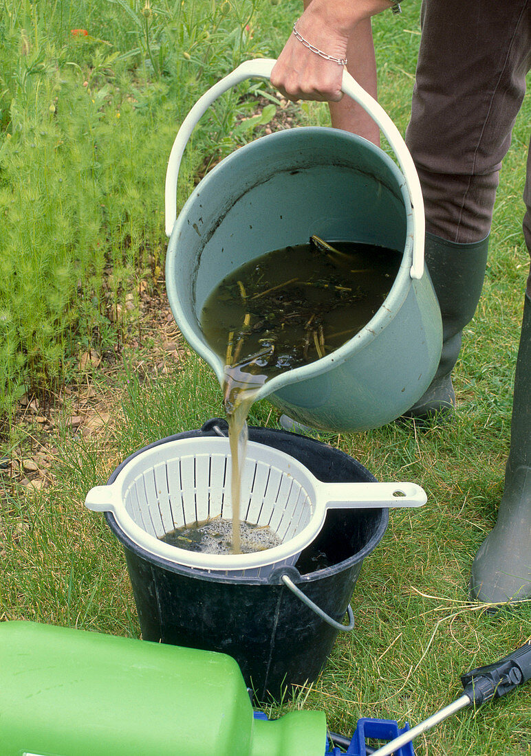 Brennnesselbrühe abtropfen lassen