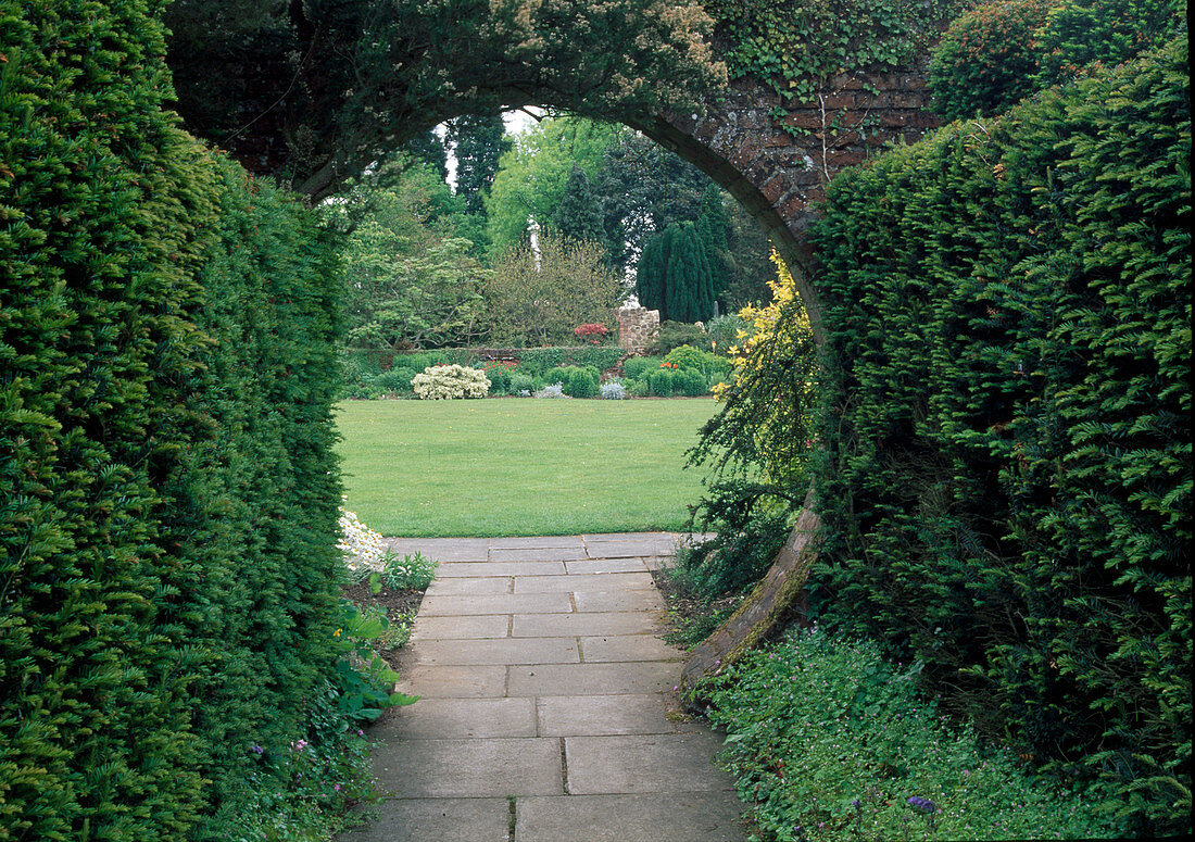 Path in garden