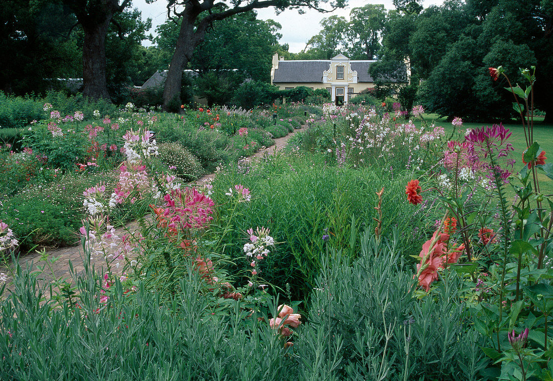 Path through The Garden