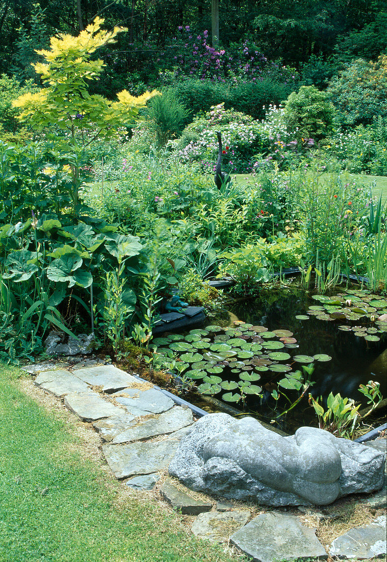 Pond basin with Nymphaea (water lilies) and marsh plants, shrub bed with Acer shirasawanum 'Aureum' (golden maple), reclining figure as decoration