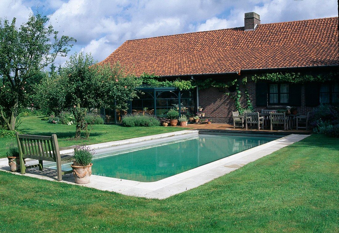 Swimming pool on terrace with wooden seating area, winter garden with climbing plants, apple tree (Malus) in lawn