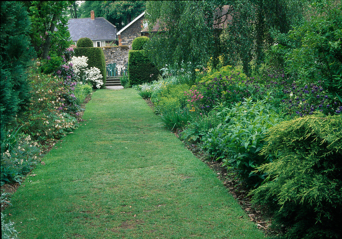 Garden view