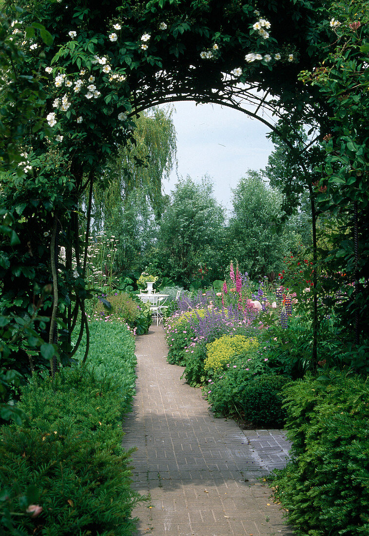 Paved path leads through rose arch into garden with flowering perennial beds, alchemilla (lady's mantle), nepeta (catmint), lupinus (lupines), digitalis (foxglove), white seating area