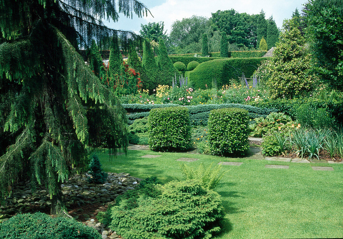 Blick von Cedrus (Zeder) und Picea (Zwerg-Fichte) - auf formalen Garten mit Carpinus (Hainbuche) - zylindrisch geschnitten, stahlblauer Juniperus (Wacholder) als stufige Hecke, dahinter Staudenbeet
