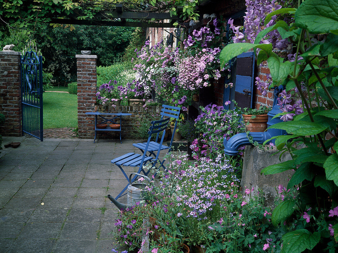 Terrace with tone-in-tone planting and blue chairs, buxus (boxwood), petunia (petunia), verbena (verbena), viola (pansy), clematis (woodland vine), open garden gate