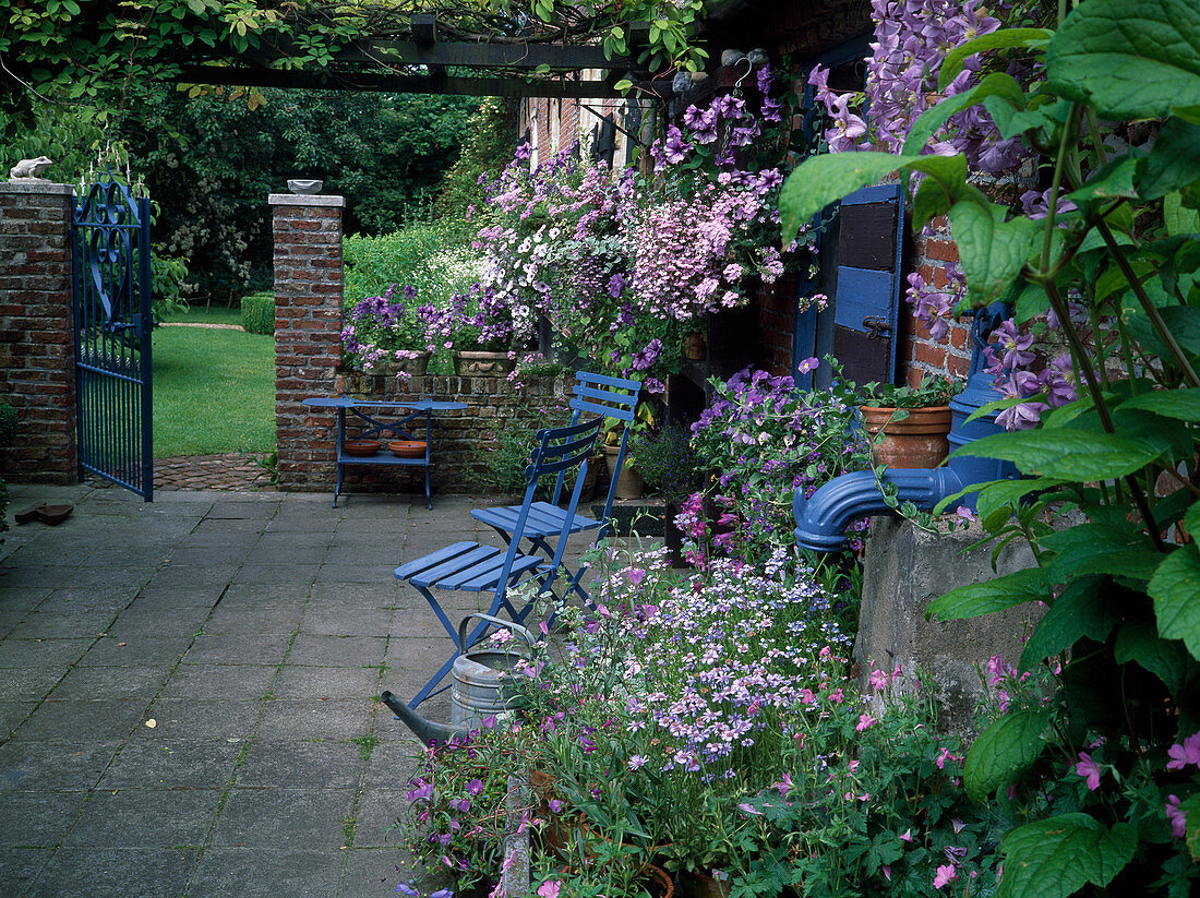 Terrasse mit Ton-in-Ton Bepflanzung und blauen Stühlen, Buxus (Buchs), Petunia (Petunien), Verbena (Eisenkraut), Viola (Stiefmütterchen), Clematis (Waldrebe), offenes Gartentor