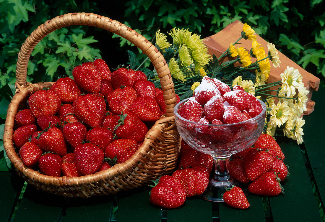 Freshly picked strawberries (Fragaria) in basket and sugared in glass bowl
