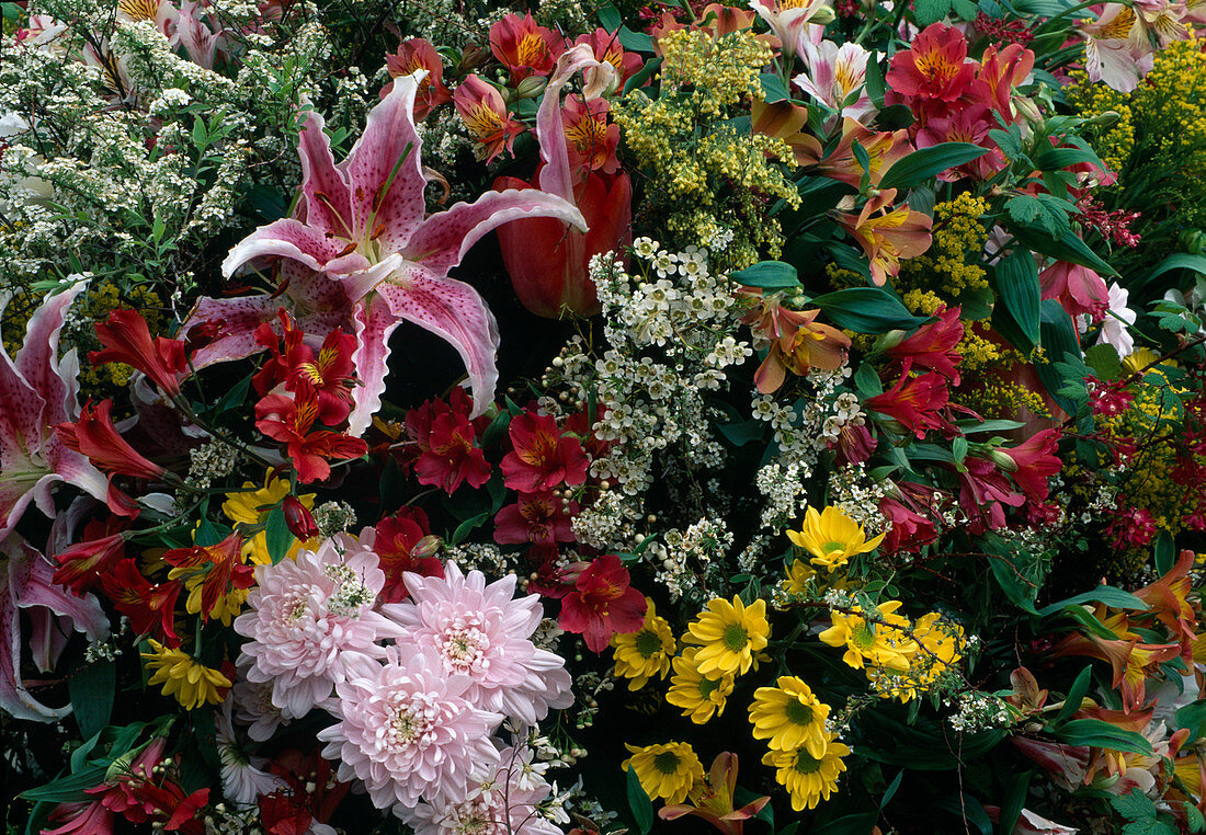 Buntes Arrangement aus Spiraea (Spierstrauch), Alstroemeria (Inkalilien), Lilium (Lilie), Chrysanthemum (Chrysanthemen), Chamelaucium (Waxflower), Solidago (Goldrute), Tulipa (Tulpe)