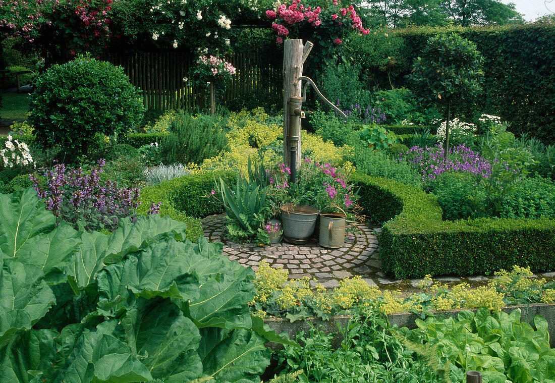 Formaler Garten mit Schwengelpumpe auf Rondell mit Pflasterung, Hecken aus Buxus (Buchs), Rosa (Rosen) und Stauden