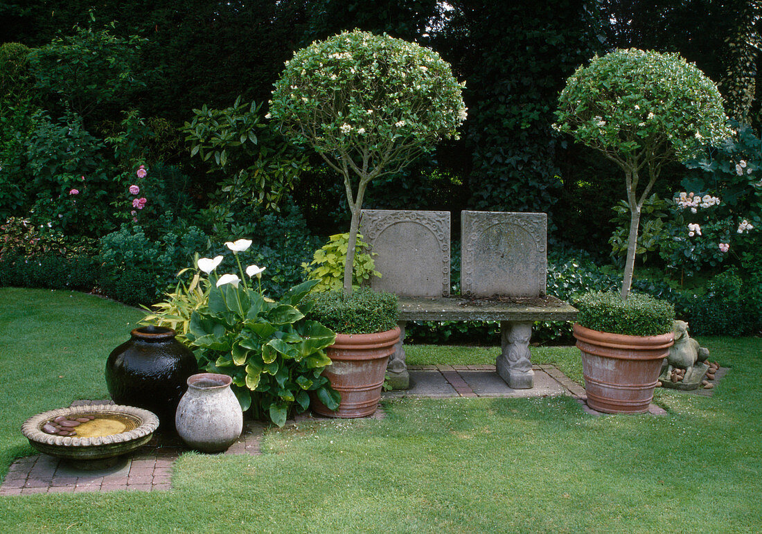 Garden bench made of stone, Ligustrum (privet) trunks underplanted with Buxus (boxwood), Zantedeschia aethiopica (calla), vases and birdbath
