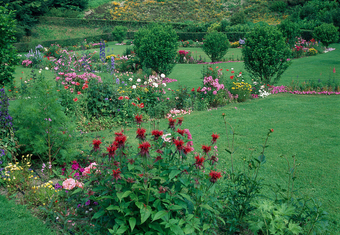 Narrow beds with colourful flowers separate lawns